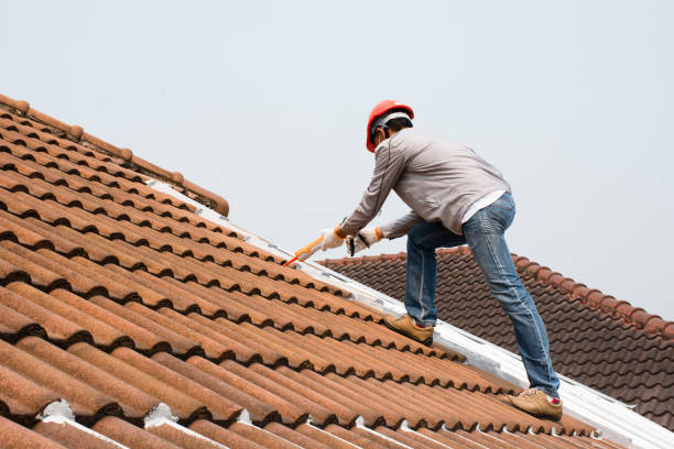 Best Steel Roofing  in Edgecliff Village, TX