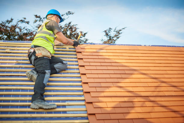 Best Skylight Installation and Repair  in Edgecliff Village, TX